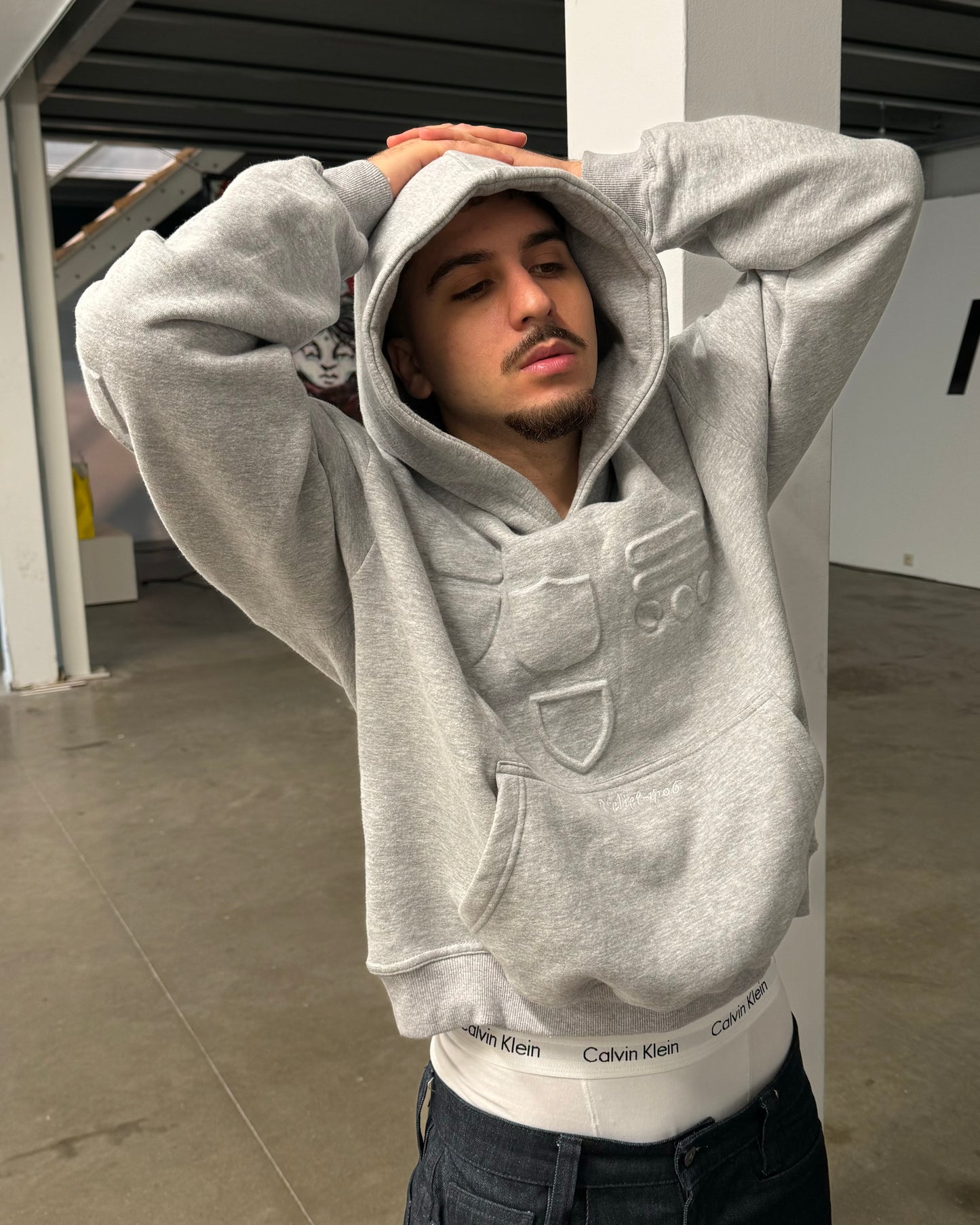 3D SHIELD HOODIE (heather grey)